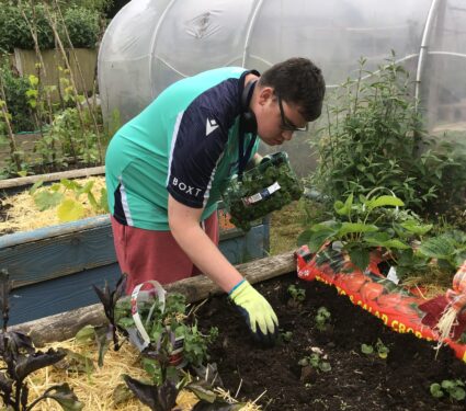 Gold Prize for Green-Fingered Learners