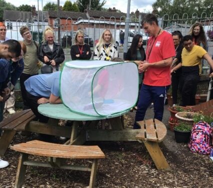 Boosting the Butterfly Population